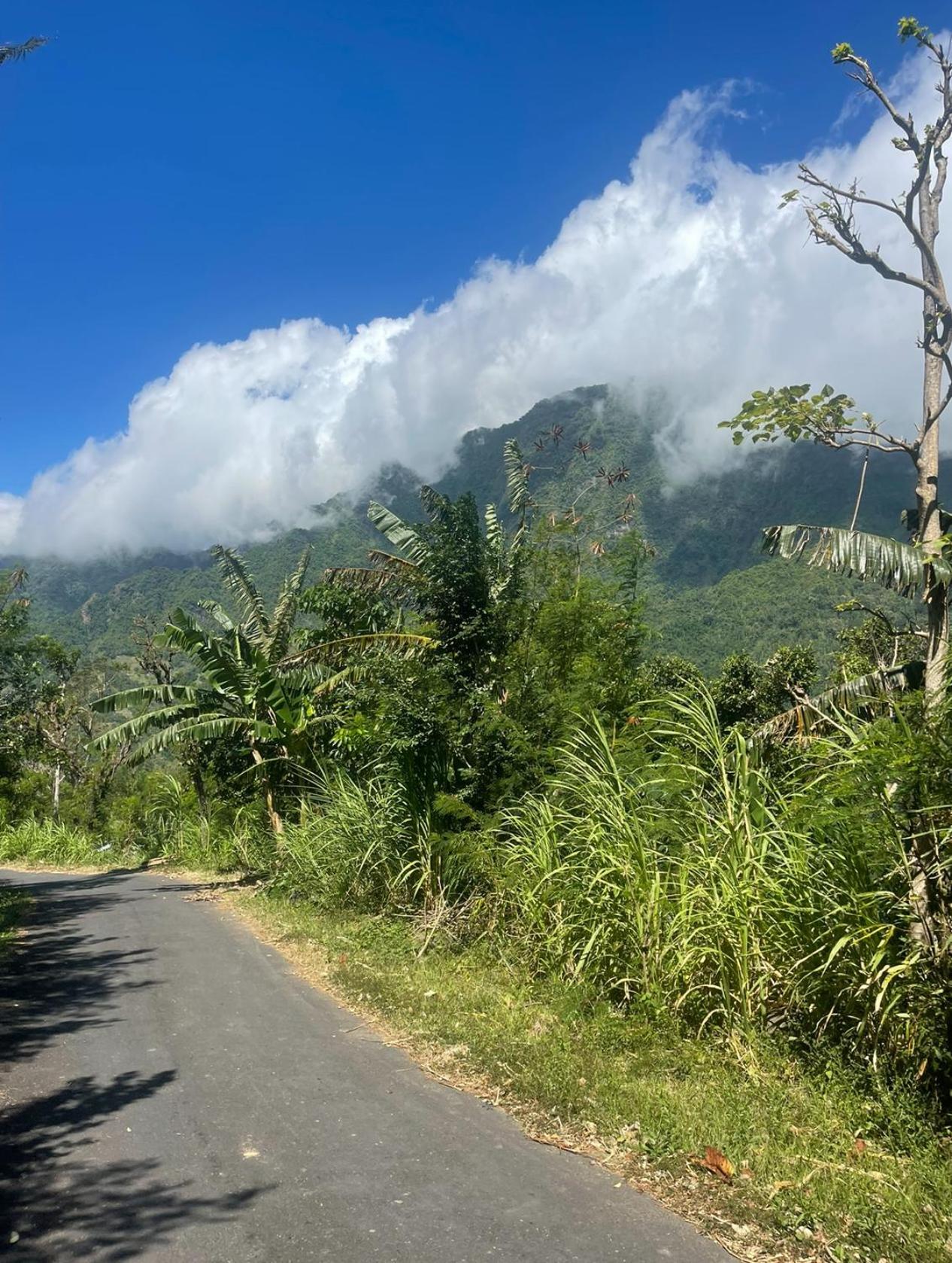 Willa Tropical Habitat Bali Amed Zewnętrze zdjęcie