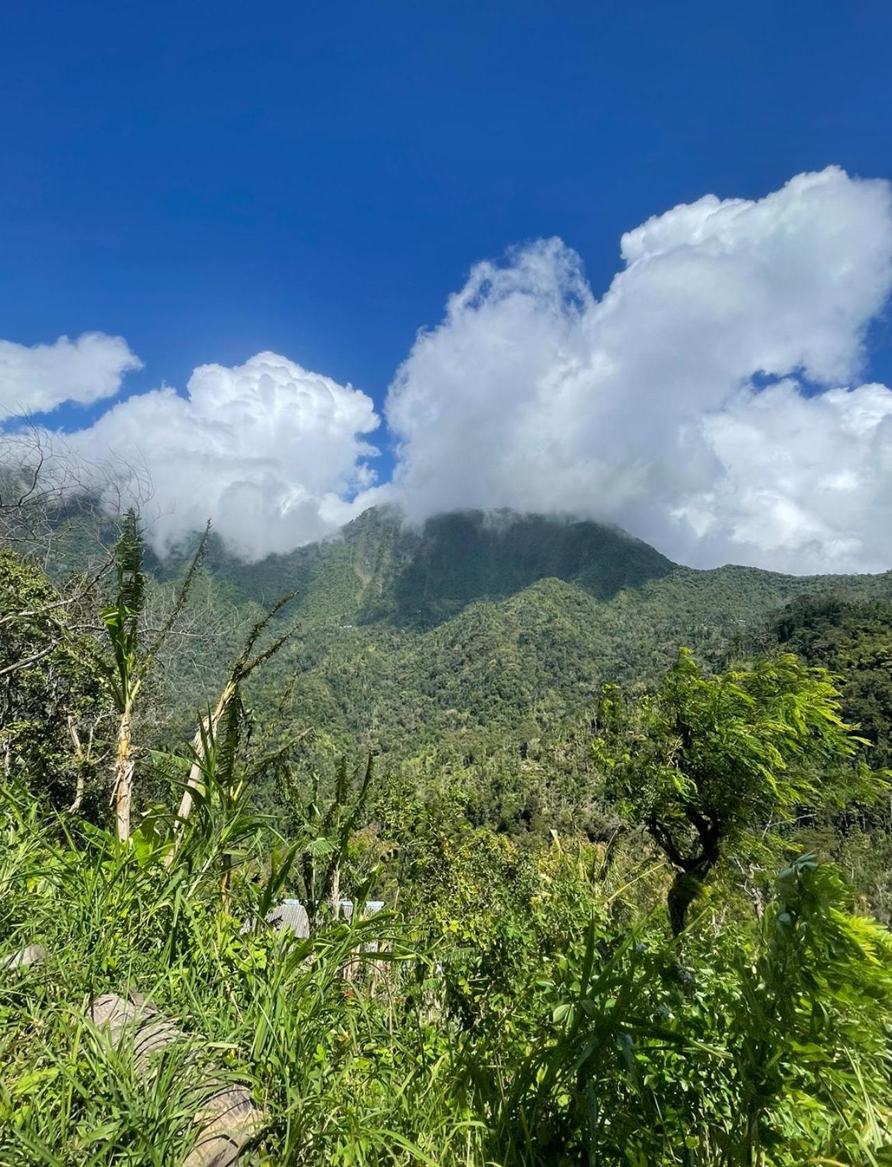 Willa Tropical Habitat Bali Amed Zewnętrze zdjęcie
