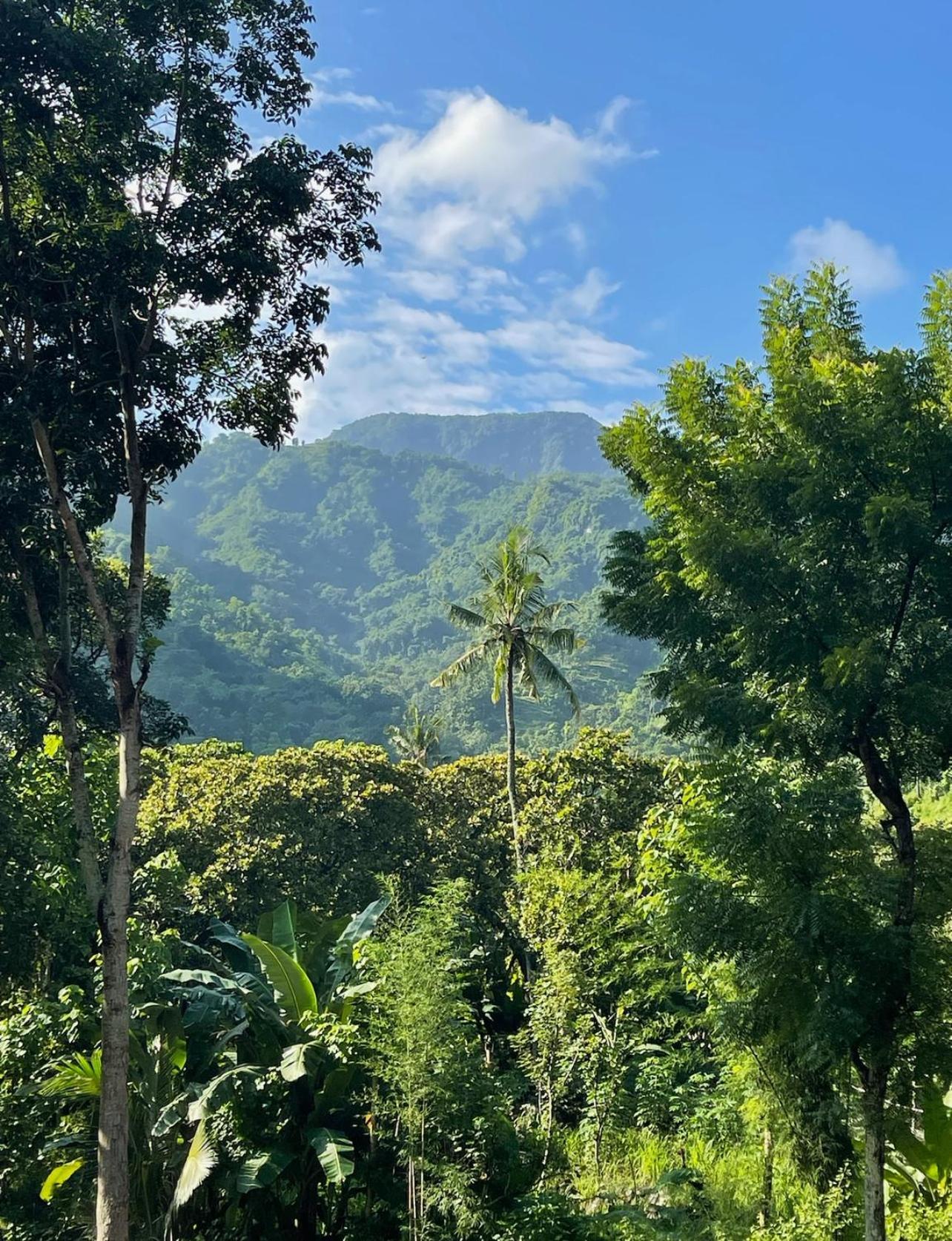 Willa Tropical Habitat Bali Amed Zewnętrze zdjęcie