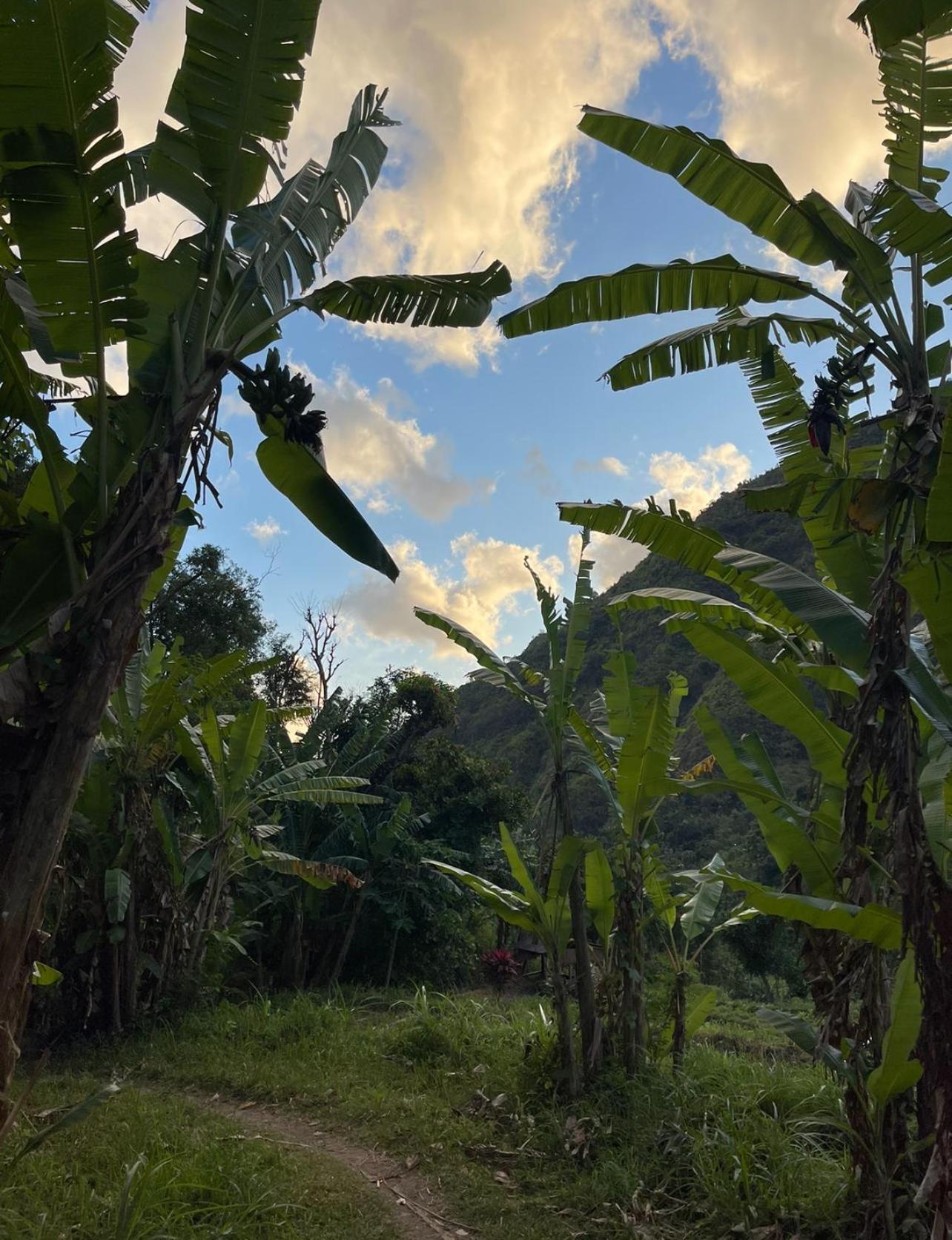 Willa Tropical Habitat Bali Amed Zewnętrze zdjęcie