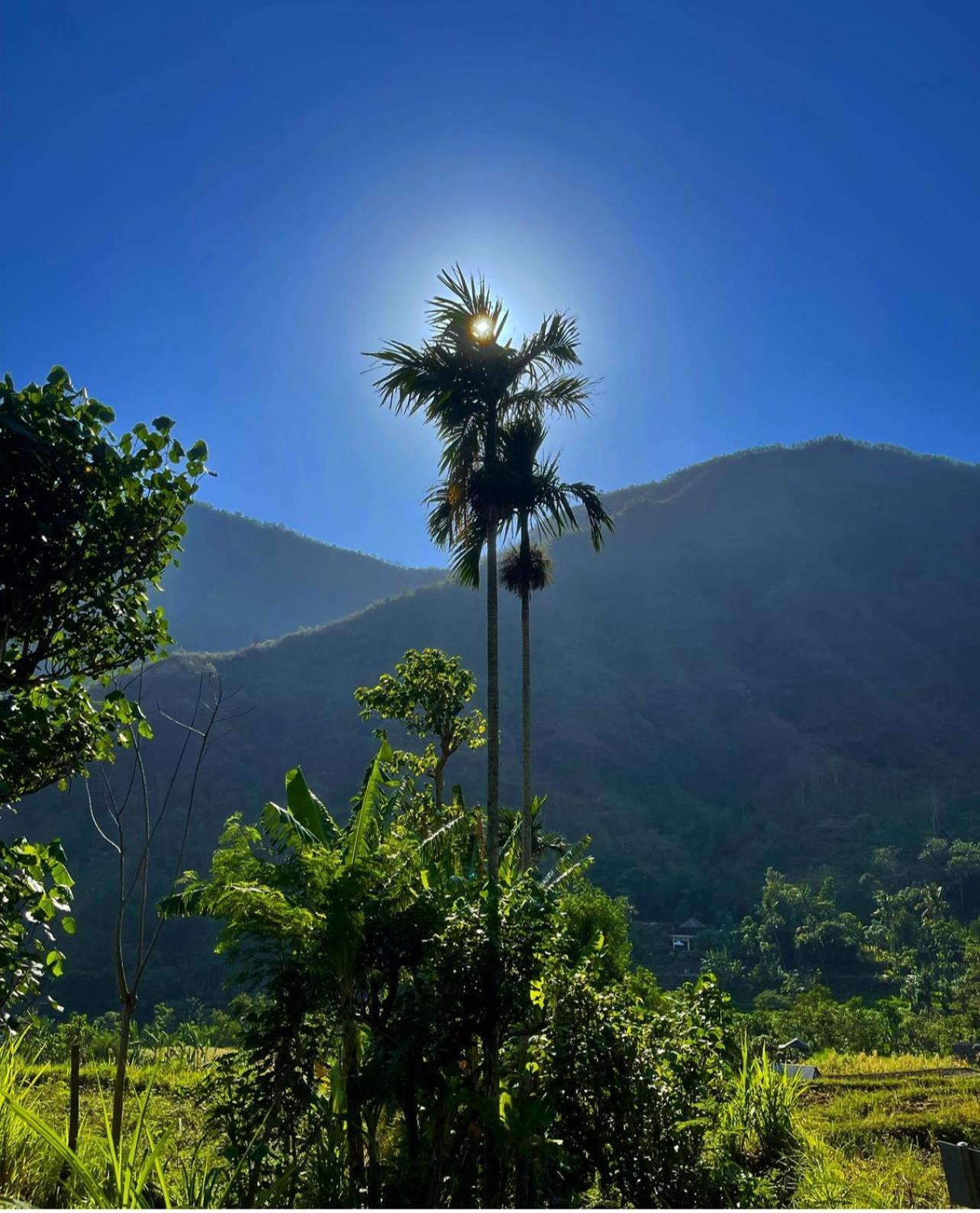 Willa Tropical Habitat Bali Amed Zewnętrze zdjęcie